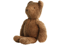 teddy